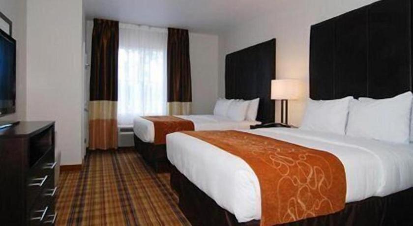 Comfort Hotel